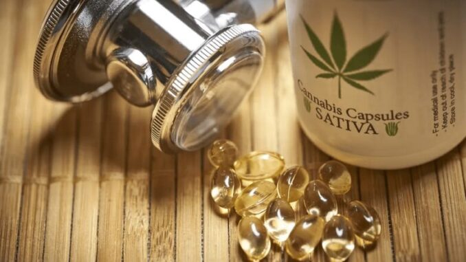 maconha-medicinal-2024-780x470